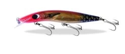 Classic Barra 120mm Lures -Coastal Fishing Tackle Classic Barra 120 Lures Gold Nitro Dazzler Freddys 8a9a1227 6c3b 4803 94ed a9cb9d252158