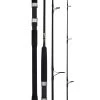 Daiwa 22 BG Bluewater Graphite Rods