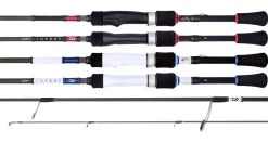 Daiwa Infeet 2020 Graphite Rods
