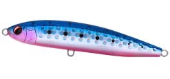 Daiwa Rough Ride 160F Surface Lures 8 Daiwa Rough Ride 160F Surface Lures -Coastal Fishing Tackle DaiwaRoughRideSurfaceLuresBluePinkIwashi Freddys