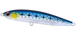 Daiwa Rough Ride 160F Surface Lures 11 Daiwa Rough Ride 160F Surface Lures -Coastal Fishing Tackle DaiwaRoughRideSurfaceLuresSardine Freddys