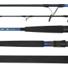 Daiwa Saltist X Graphite Rods
