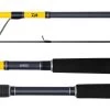 Daiwa Seabass Graphite Rods