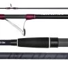 Daiwa Seajigger 2019 Graphite Rods Clearance