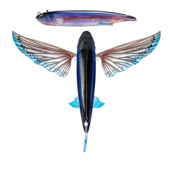 Nomad Slipstream Flying Fish Pack -Coastal Fishing Tackle FF140 FP ULS