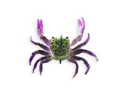 Chasebaits Crusty Crab 50 Lures -Coastal Fishing Tackle Gravedigger ff4a482d 8548 4b26 b8b1 e80af45215f8