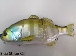 Jackall Chibitarel Swimbait Lures -Coastal Fishing Tackle HL BLUE STRIPE GILL 3ddc4e75 44f7 460e ad77 b07140152f52