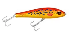 Halco Slidog Stickbait Lures -Coastal Fishing Tackle Halco Coral Trout 18cd4335 96d6 4789 ba0d 3b9d34d898e6