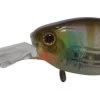 Jackall Chubby Minnow D 35SP
