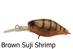 Jackall Diving Chubby Deep Floating Lures -Coastal Fishing Tackle Jackall Diving Chubby Brown Suji Shrimp Freddys f6a50360 287e 4c13 9f20 669bac8c2690