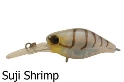 Jackall Diving Chubby Deep Floating Lures -Coastal Fishing Tackle Jackall Diving Chubby Suji Shrimp Freddys d55601a2 1759 4107 ac16 62ed3b8330d1