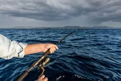 Penn Slammer Graphite Rods -Coastal Fishing Tackle PennSlammerGraphiteRods17 Freddys