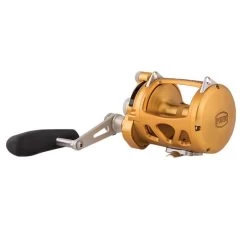 Penn International VISW Gold Overhead Reels -Coastal Fishing Tackle Penn International VISW 30 Freddys 8ba0fd07 1da5 4bc6 a5b7 e932186e213f