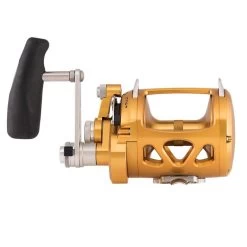Penn International VISW Gold Overhead Reels