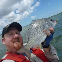 Pro Cure Super Gel Scent -Coastal Fishing Tackle Pro Cure 3 52b977ad 182e 4b4d 97dc 78342ba86917