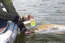 Pro Cure Super Gel Scent -Coastal Fishing Tackle Pro Cure 5 41f95286 7fce 4791 81b1 ef84e5028768