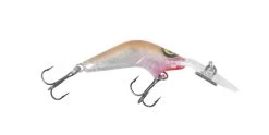 RMG Poltergeist 50 Lures 11 RMG Poltergeist 50 Lures -Coastal Fishing Tackle RMG Poltergeist 50 Jelly Prawn Lure Freddys f1a7c8cf 156c 4f56 96b7 5a682dd7b4d9