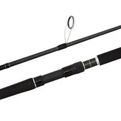 Shimano Anthem SW 2020 Graphite Rods