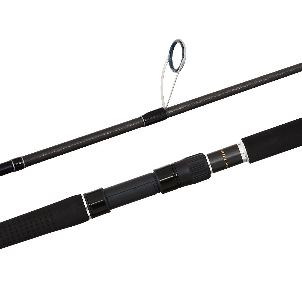 Shimano Anthem SW 2020 Graphite Rods 1 Shimano Anthem SW 2020 Graphite Rods