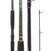 Penn Spinfisher SSM Rods