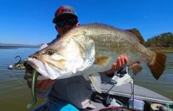 TT SwimlockZ Jigheads -Coastal Fishing Tackle TT Swimbait Jigheads 3 Freddys 58ad4788 d301 4ad8 b107 b03b3346c3a8